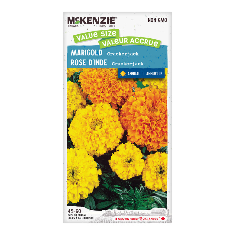 Marigold Seeds, Crackerjack Jumbo Pack McKenzie Seeds