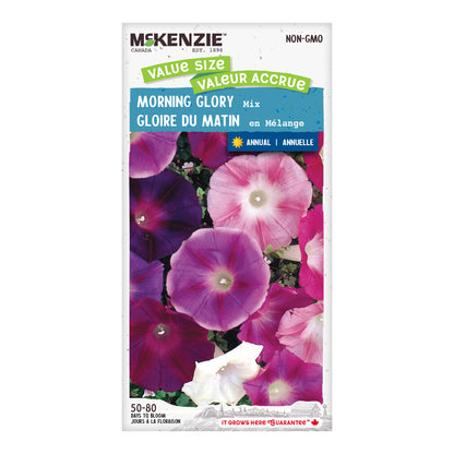 Morning Glory Seeds, Mix Value Size Pack