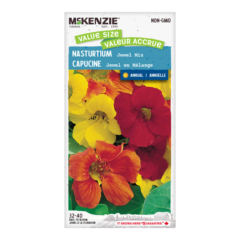 Nasturtium Seeds, Jewel Mix Jumbo Pack McKenzie Seeds