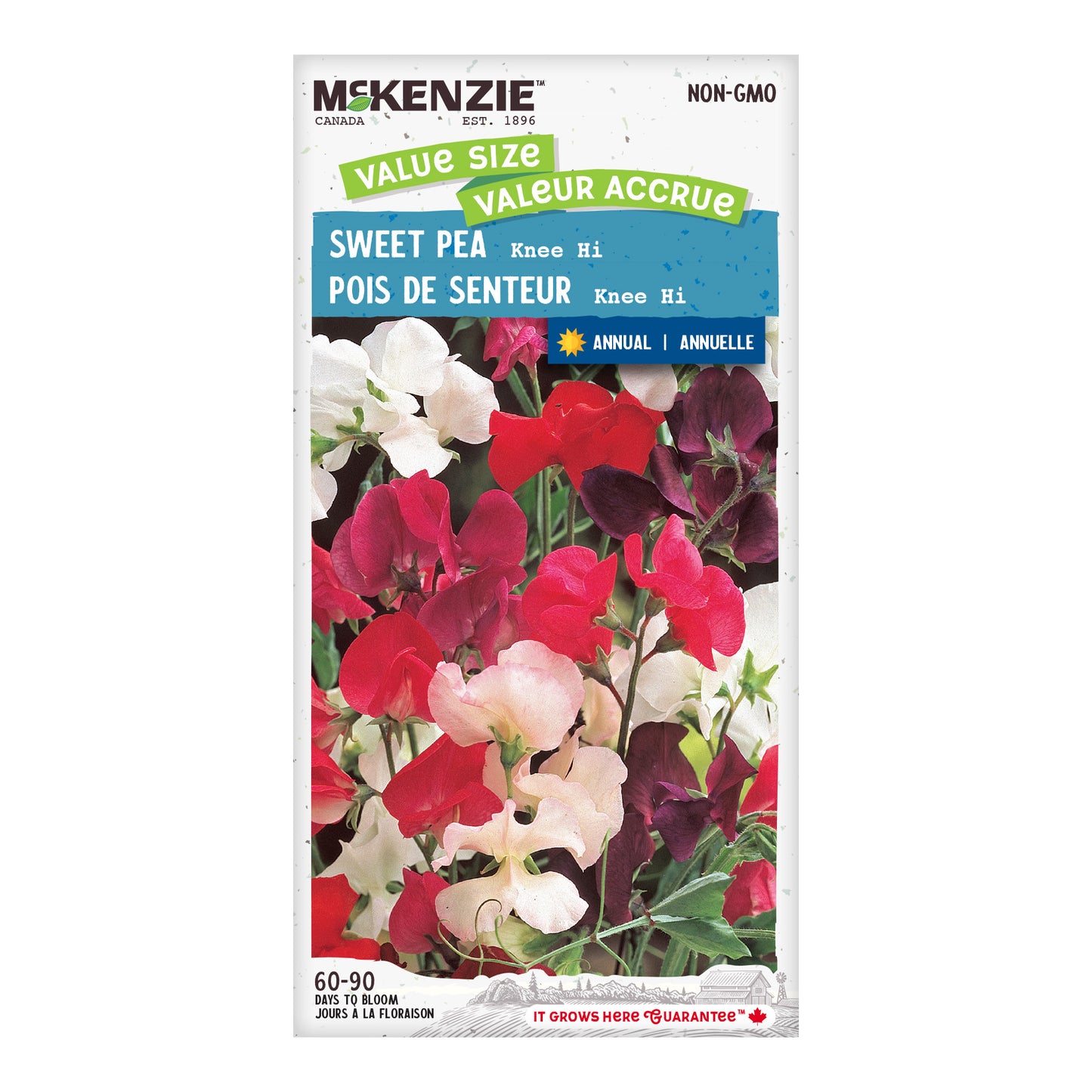 Sweet Pea Seeds, Knee Hi Value Size Pack