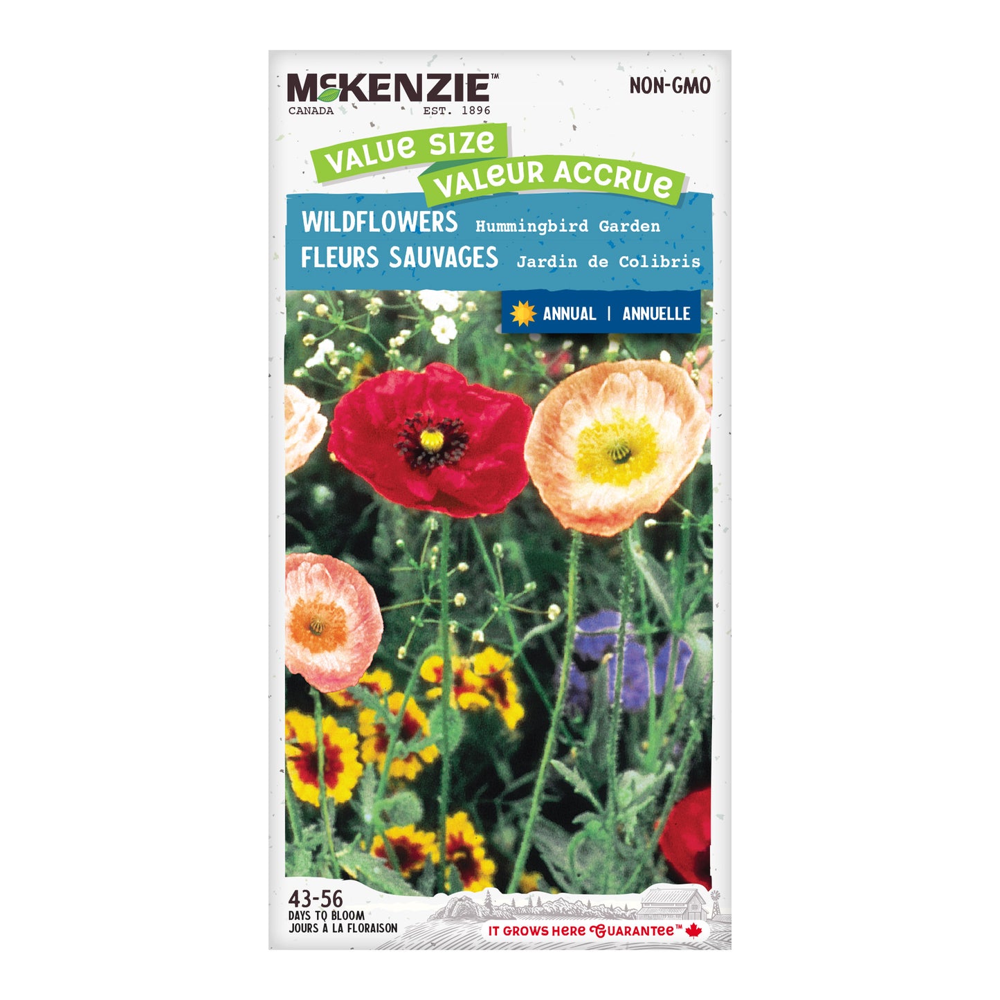 Wildflower Seeds, Hummingbird Garden Jumbo Pack