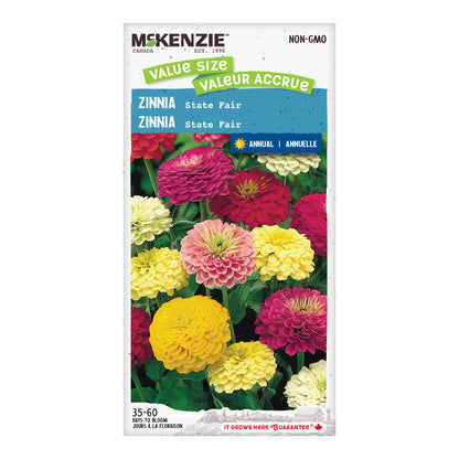 Zinnia Seeds, State Fair Tetra Flowered Jumbo Pack