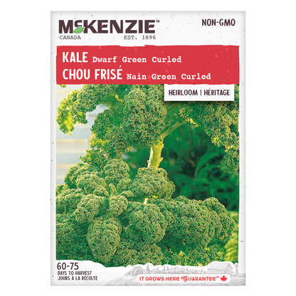 Kale Seeds, Dwarf Green Curled