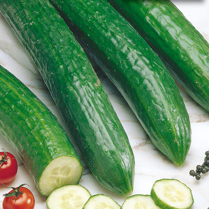 A group of fresh English Long Telegraph cucumbers, with a few sliced ones in the foreground, alongside cherry tomatoes and peppercorns.