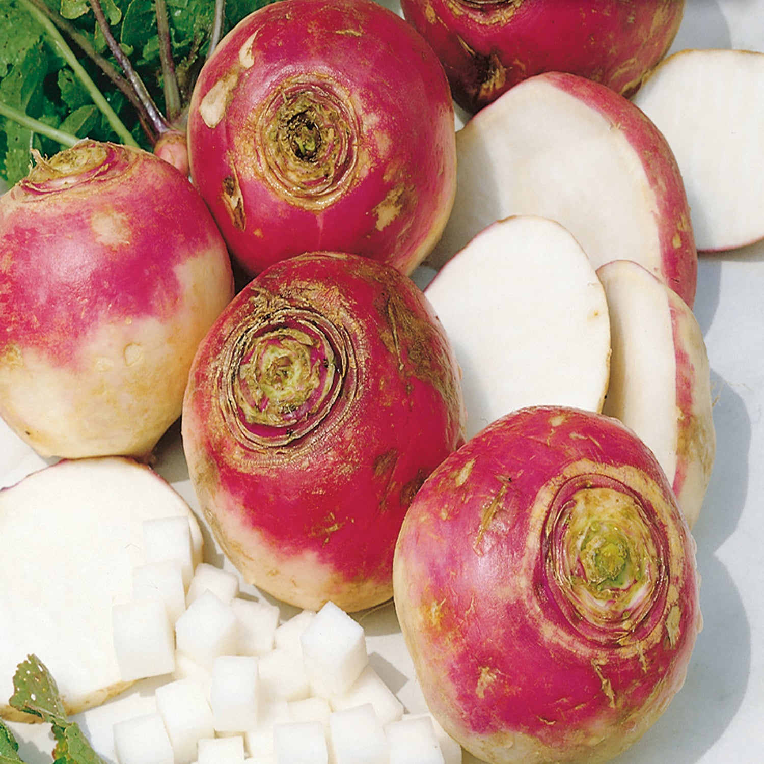 Buy Rutabaga American Purple Top Seed Online | McKenzie Seeds