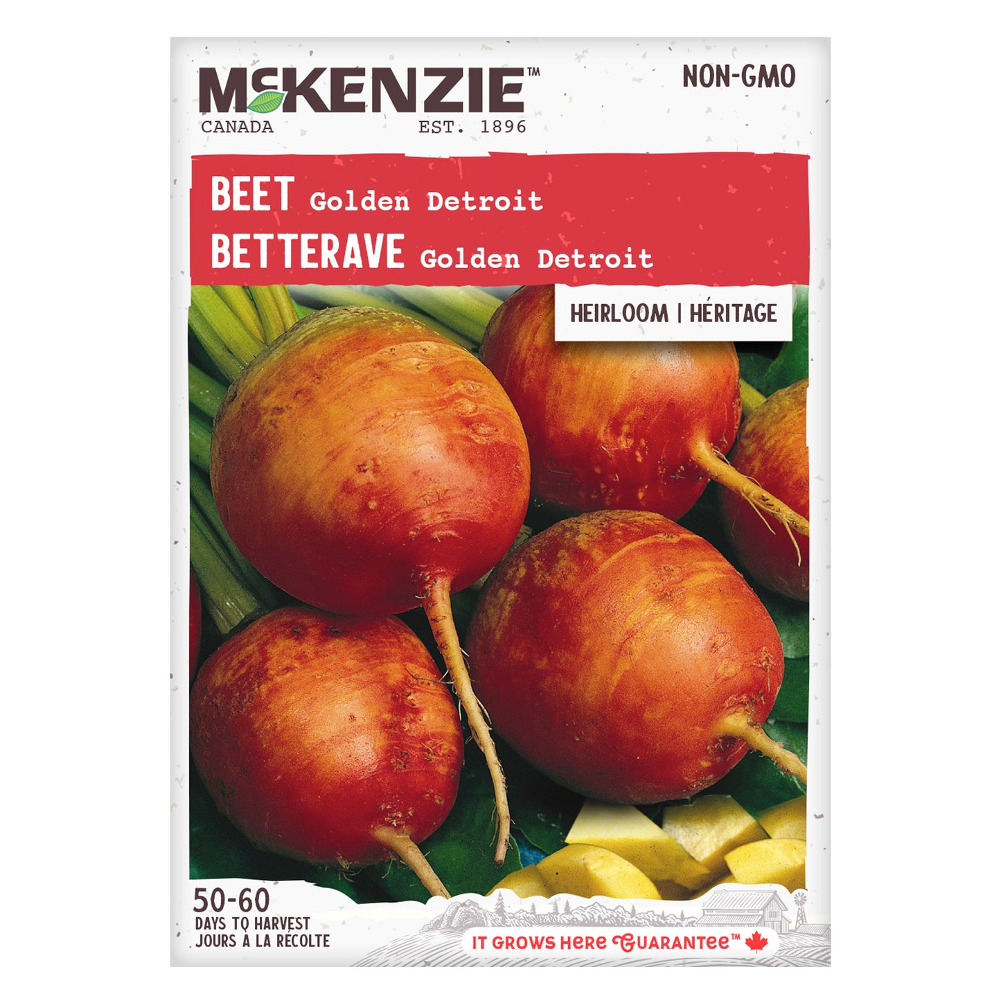 Beet, Golden Detroit Seeds