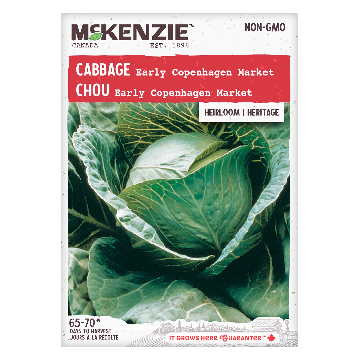 Cabbage Seeds, Early Copenhagen Market