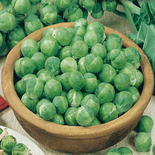 A wooden bowl filled with fresh green brussels sprouts.