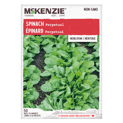 Spinach Seeds, Perpetual