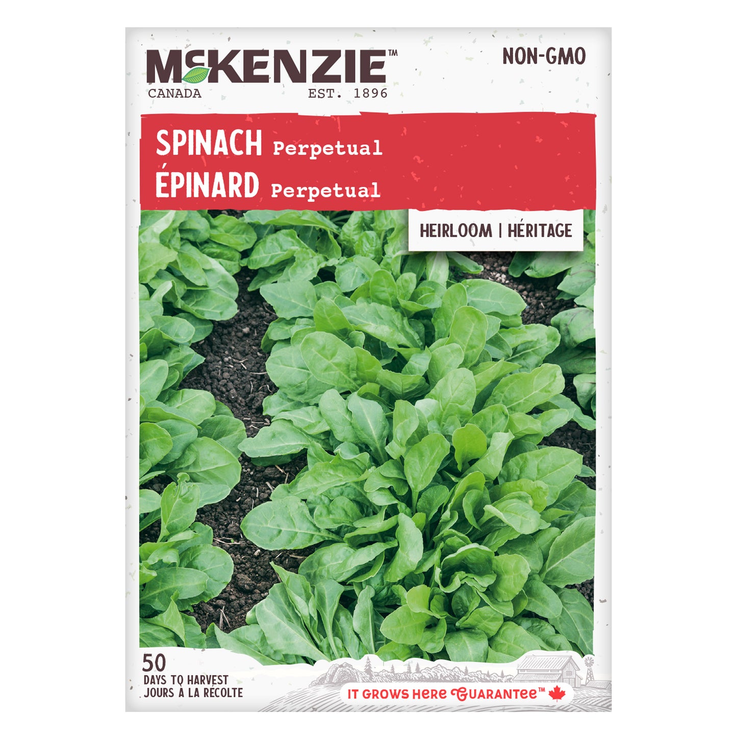 Spinach, Perpetual Seeds