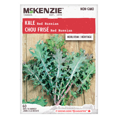 Kale Seeds, Red Russian