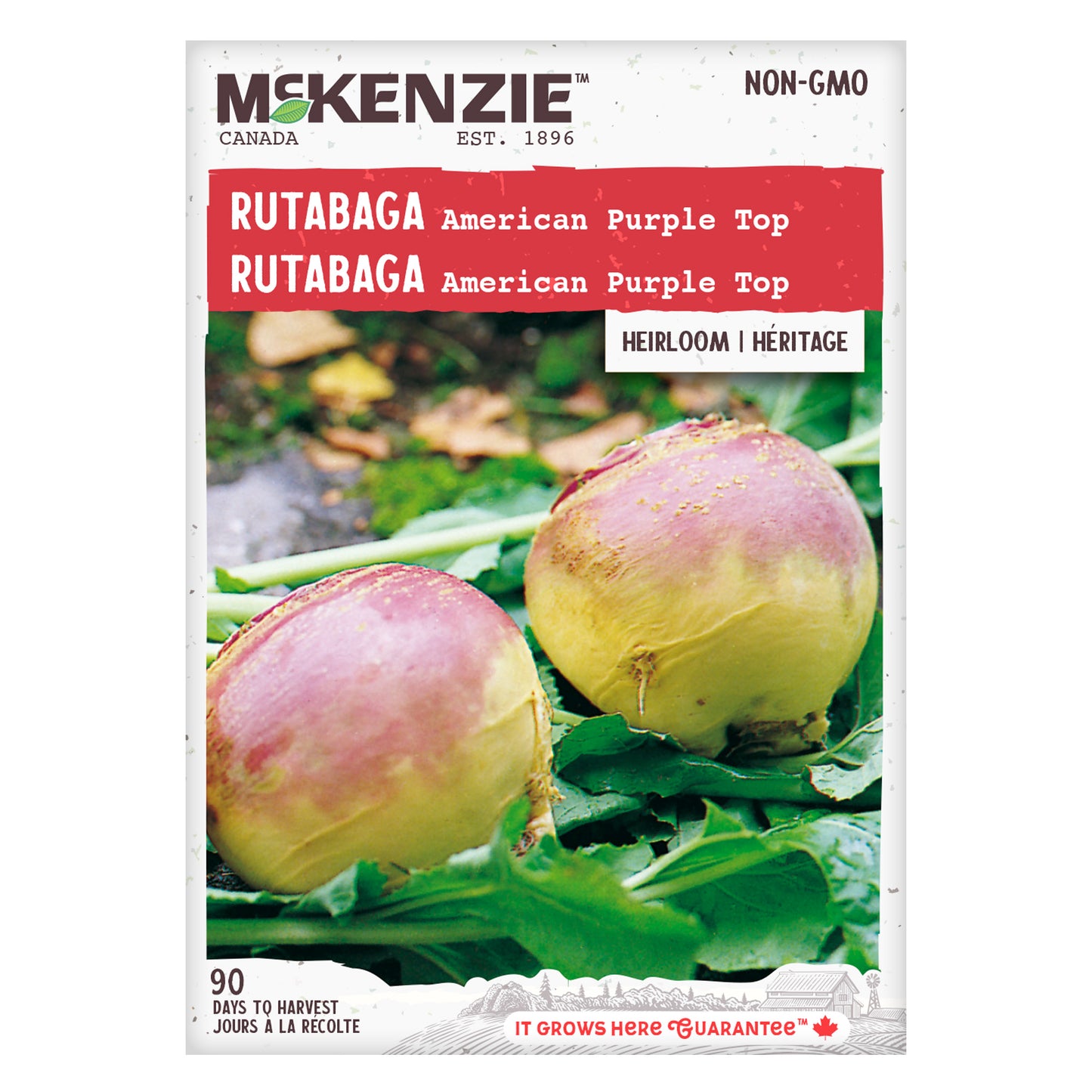 Rutabaga Seeds, American Purple Top