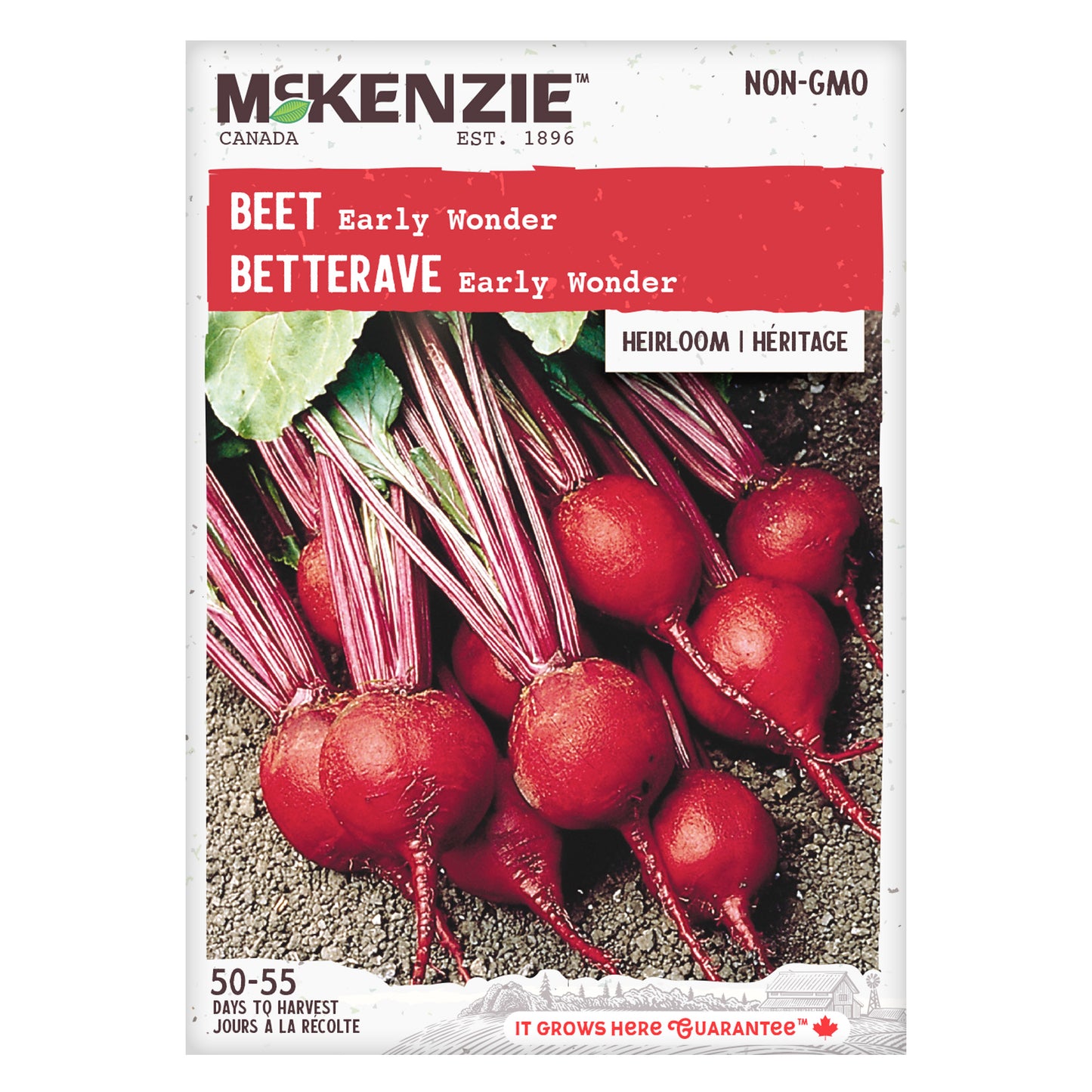 Beet Seeds, Early Wonder Tall Top