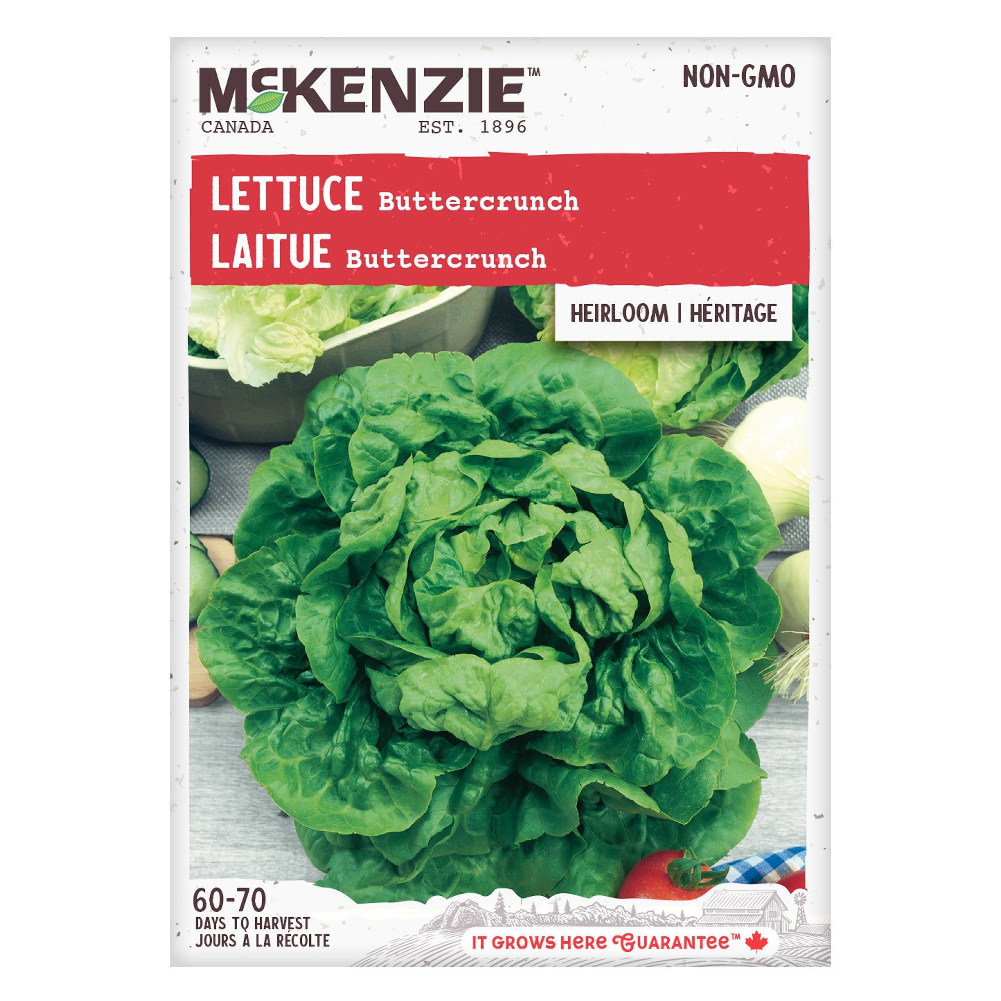 Lettuce, Buttercrunch Seeds
