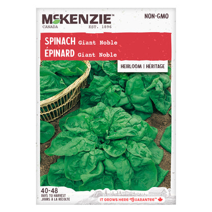 Spinach Seeds, Giant Noble