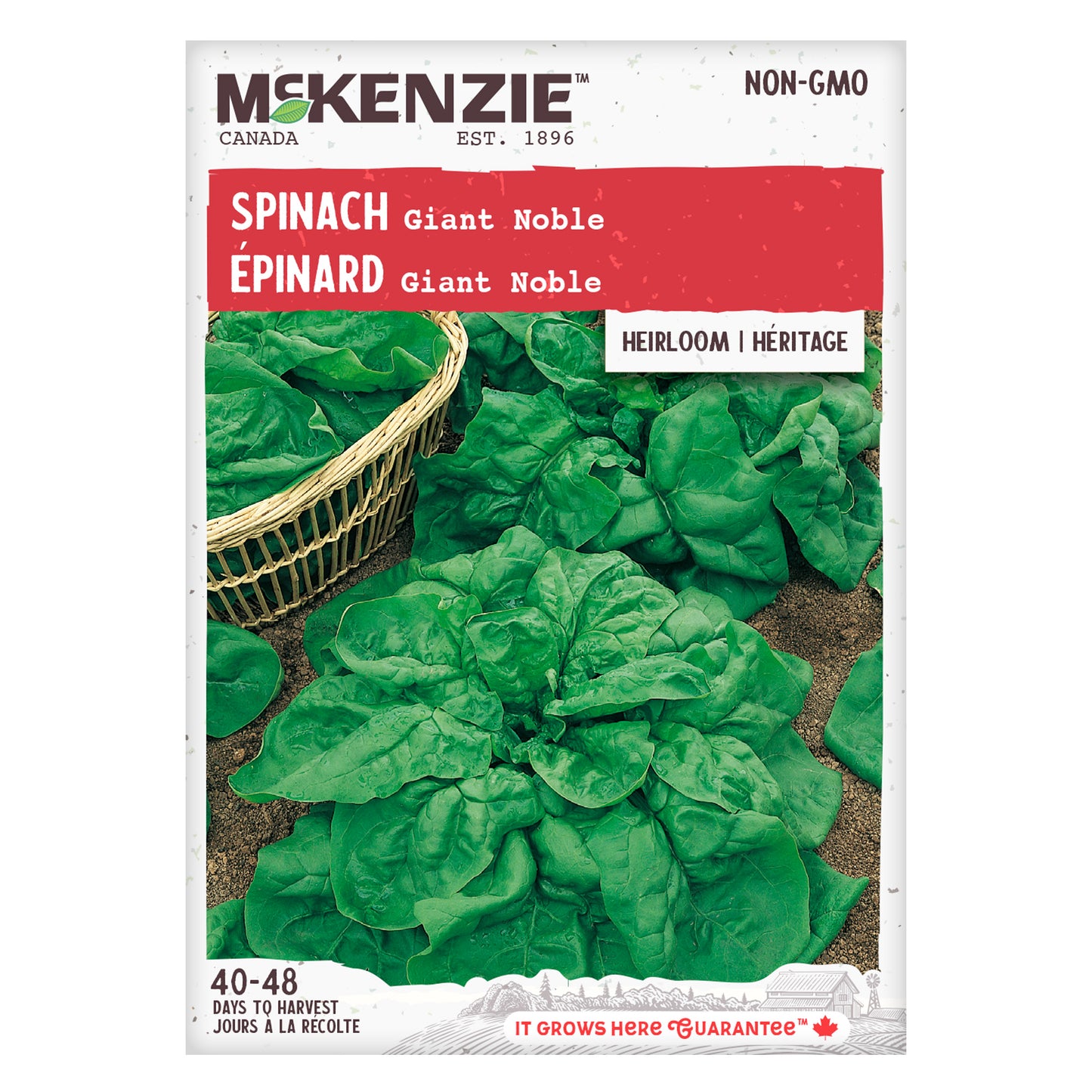 Spinach, Giant Noble Seeds