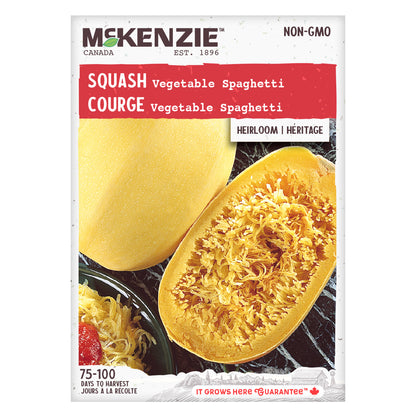 Squash Seeds, Vegetable Spaghetti Pasta