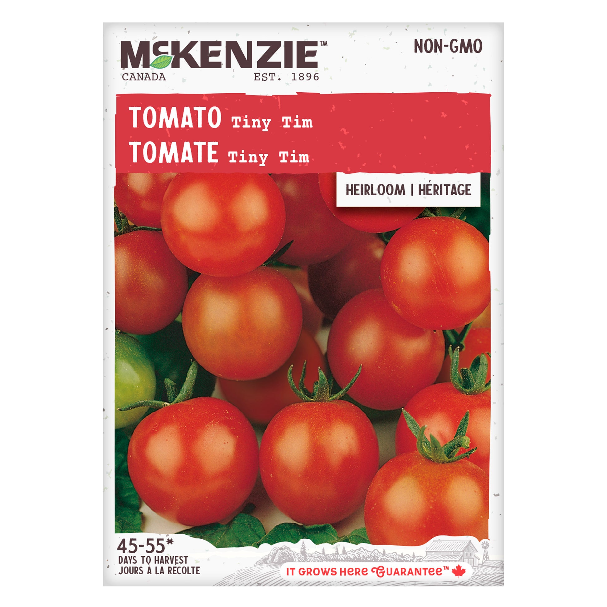 miniature tomato plant seeds Tomato Seeds, Tiny Tim