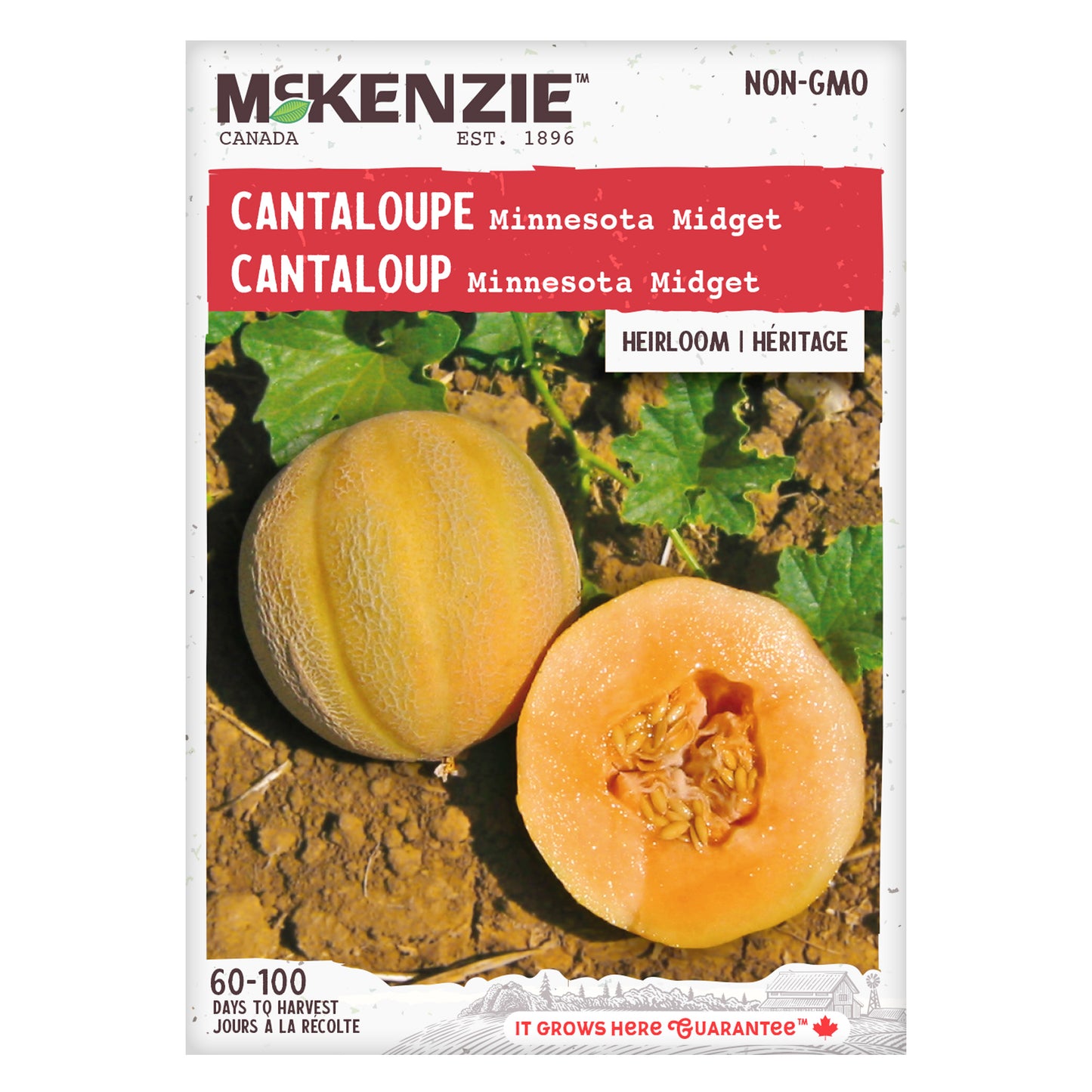 Cantaloupe Seeds, Minnesota Midget