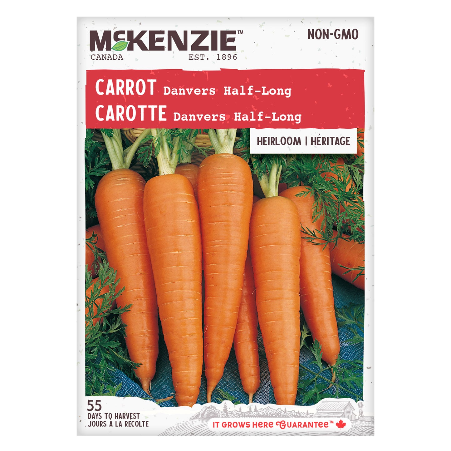 Carrot Seeds, Danvers Half-Long