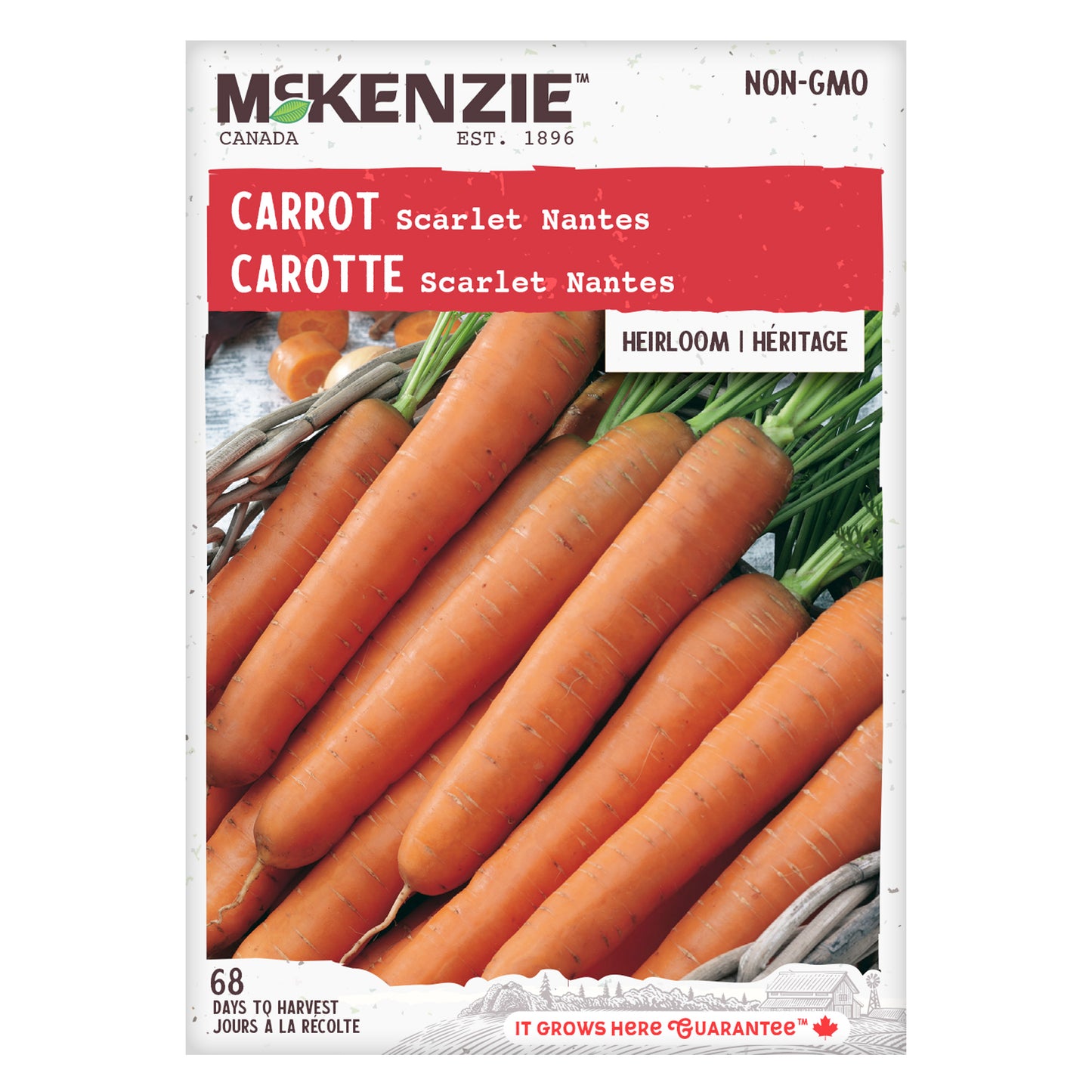 Carrot Seeds, Scarlet Nantes