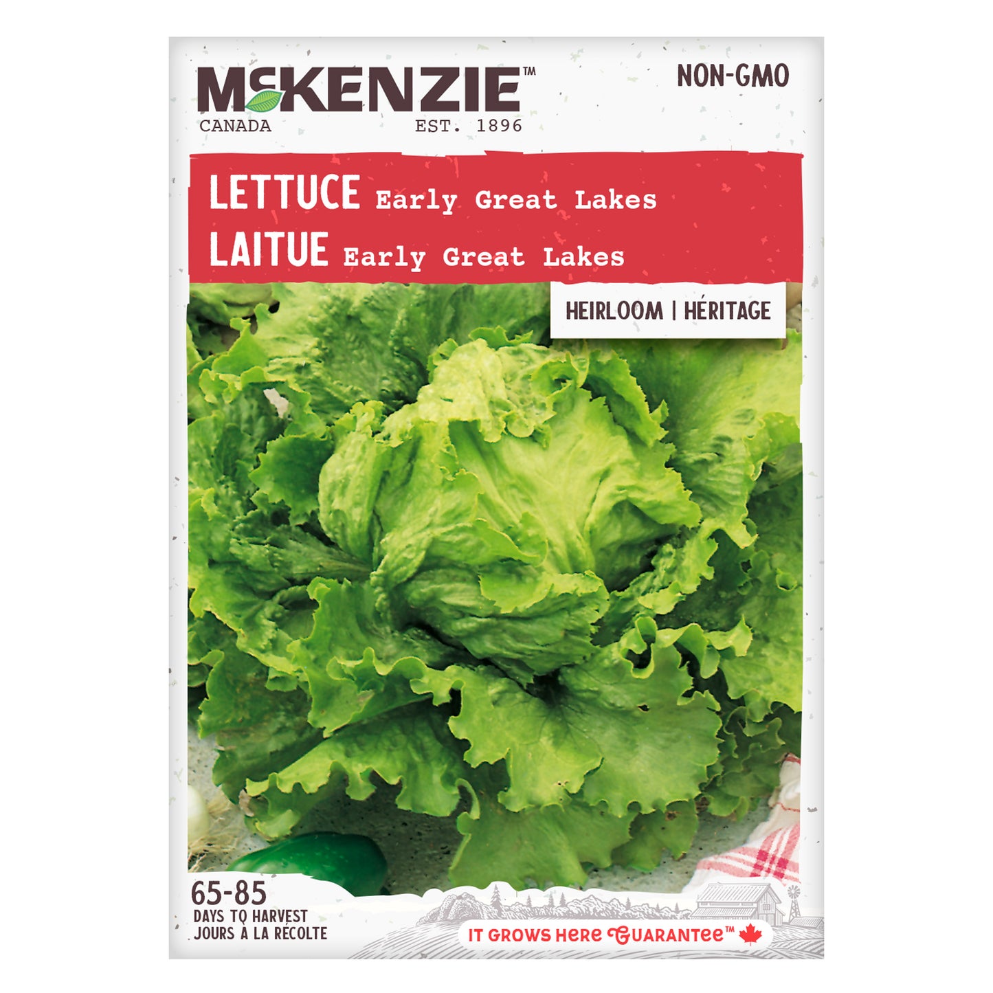Lettuce Seeds, Early Great Lakes