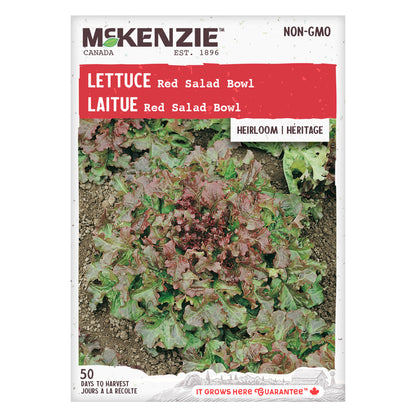 Lettuce Seeds, Red Salad Bowl