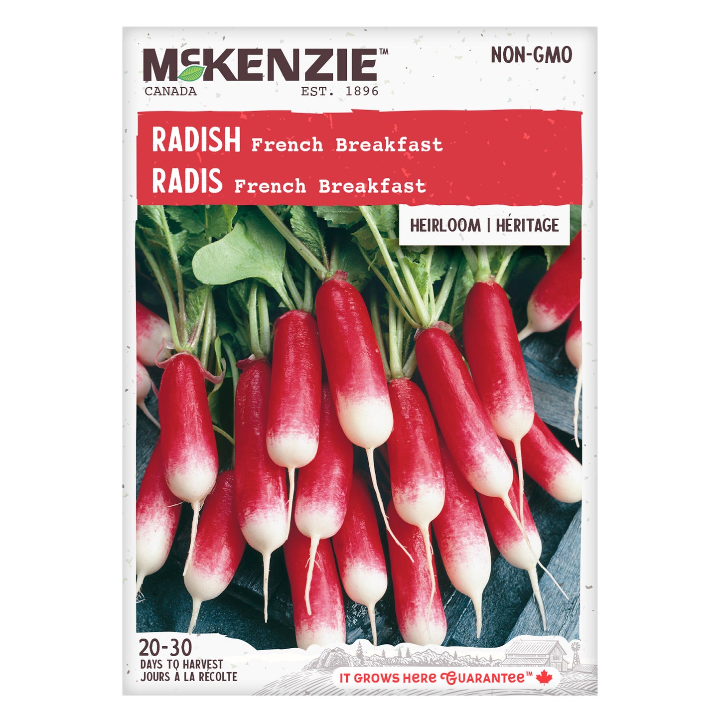 Radish Seeds, French Breakfast