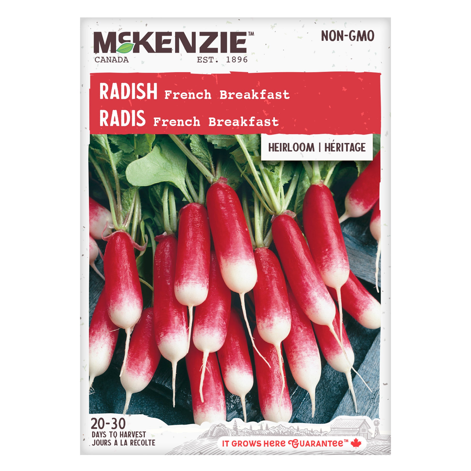 planting french breakfast radish seeds Buy French Breakfast Radish Seed Online