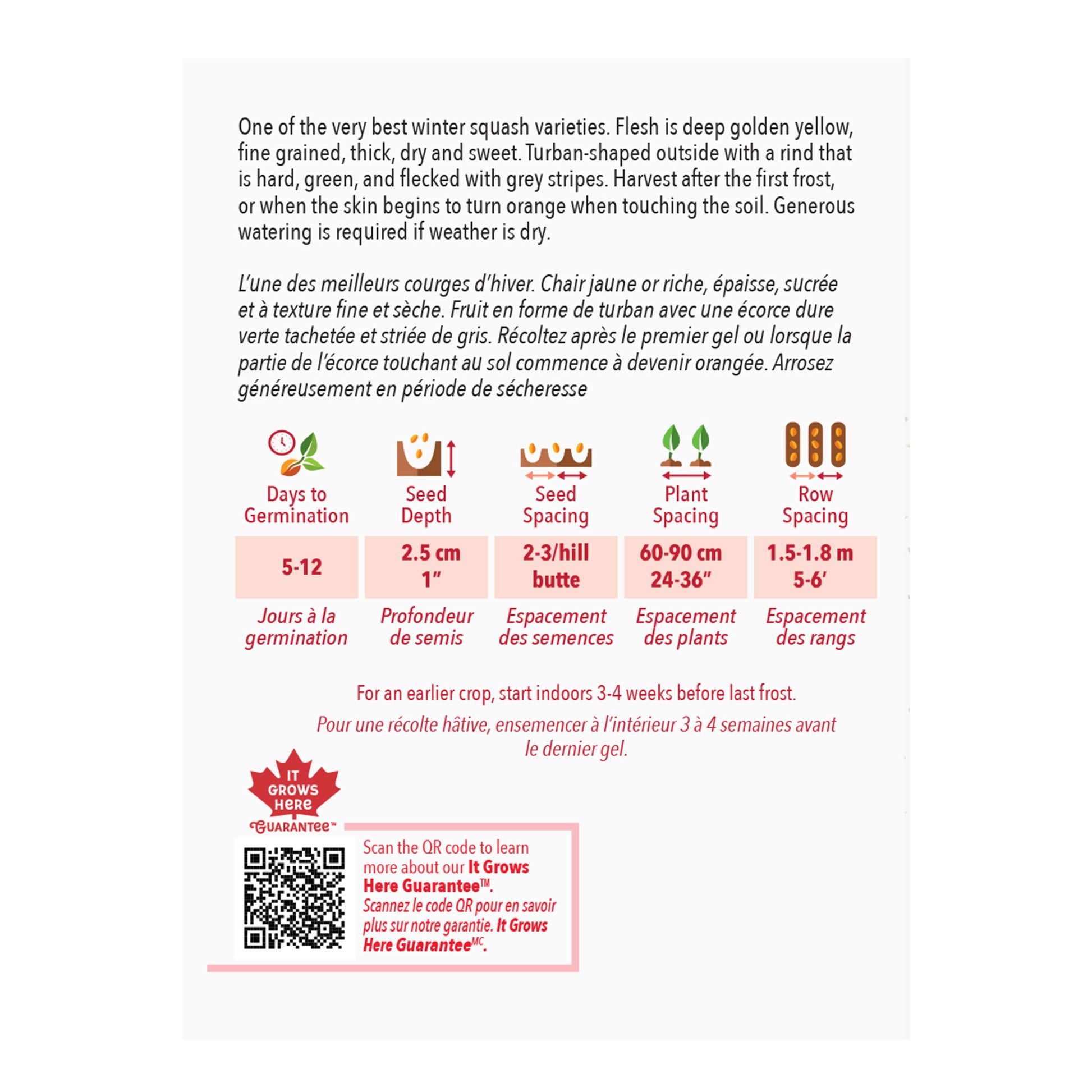 planting buttercup squash seeds Buy Squash Buttercup Seed Online