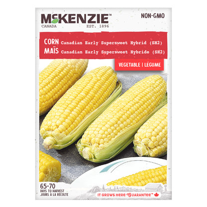 Corn, Canadian Early Supersweet Hybrid Seeds