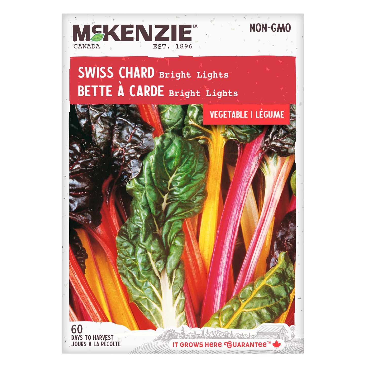Swiss Chard, Bright Lights Seeds