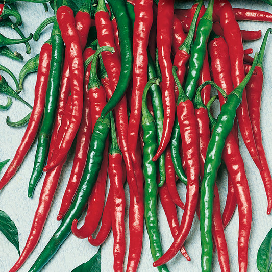 A collection of green and red Cayenna peppers, known for their spicy flavor.