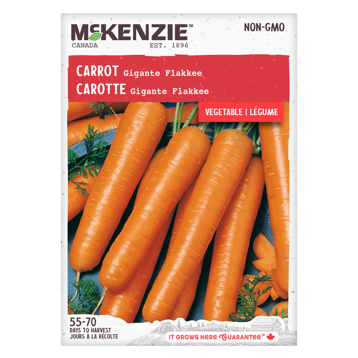 Buy Gigante Flakkee Carrot Vegetable Seed Online | McKenzie Seeds
