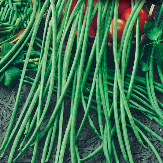 A collection of fresh green yard long beans laid out on a surface.