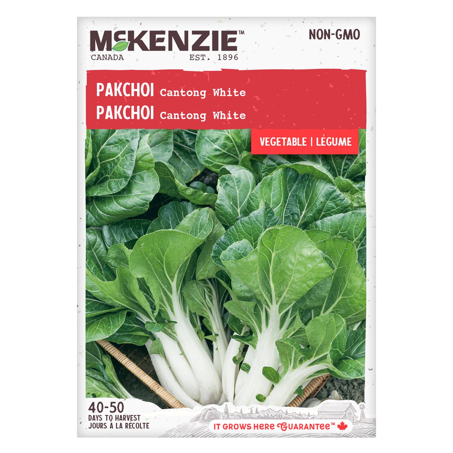 Pak Choi Seeds, Cantong White