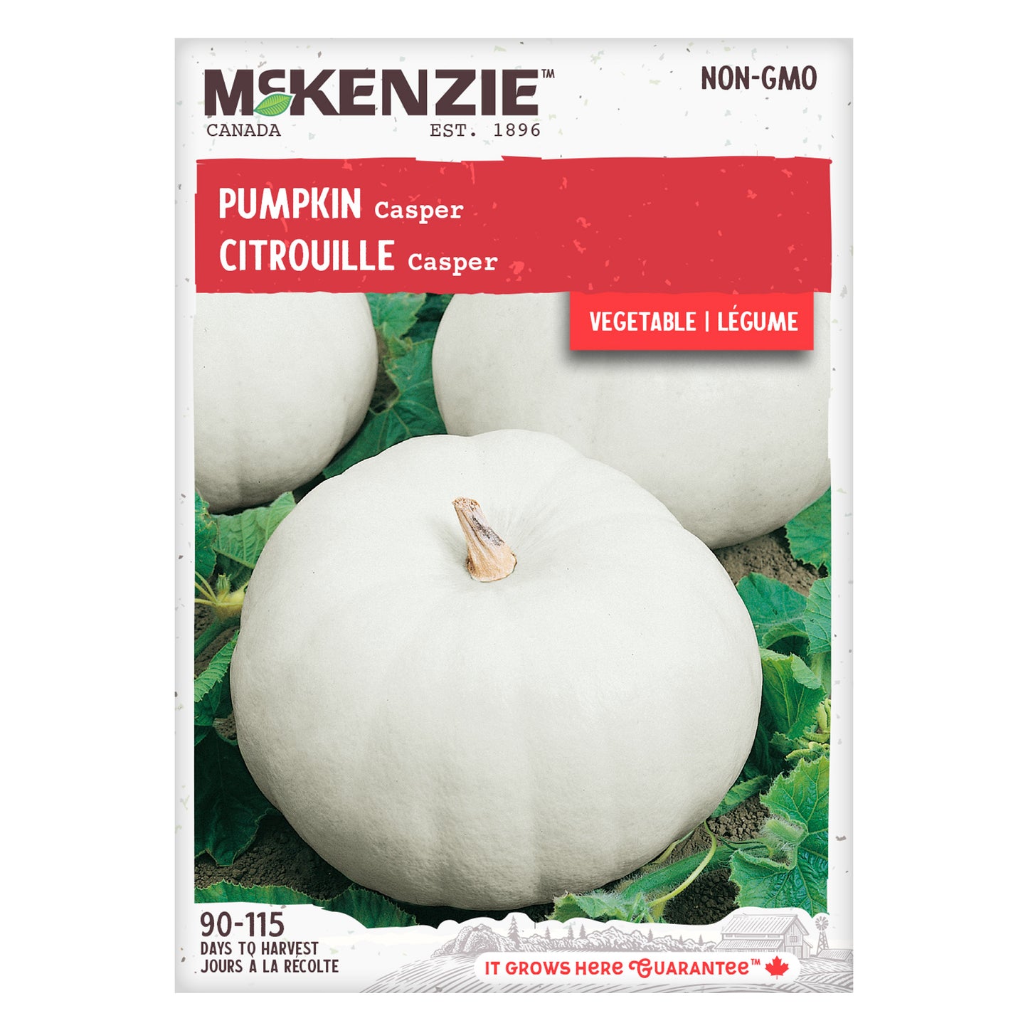 Pumpkin Seeds, Casper