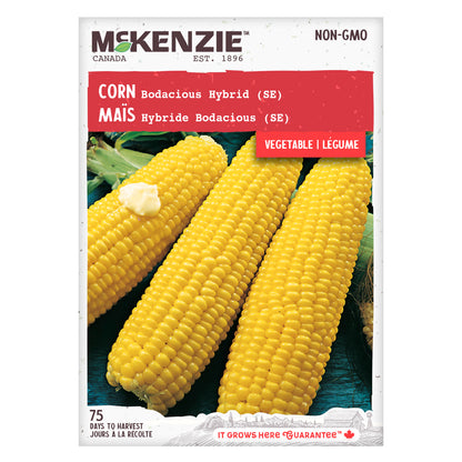 Front of McKenzie Seeds corn packaging showing an image of mature yellow corn ears with the McKenzie brand logo