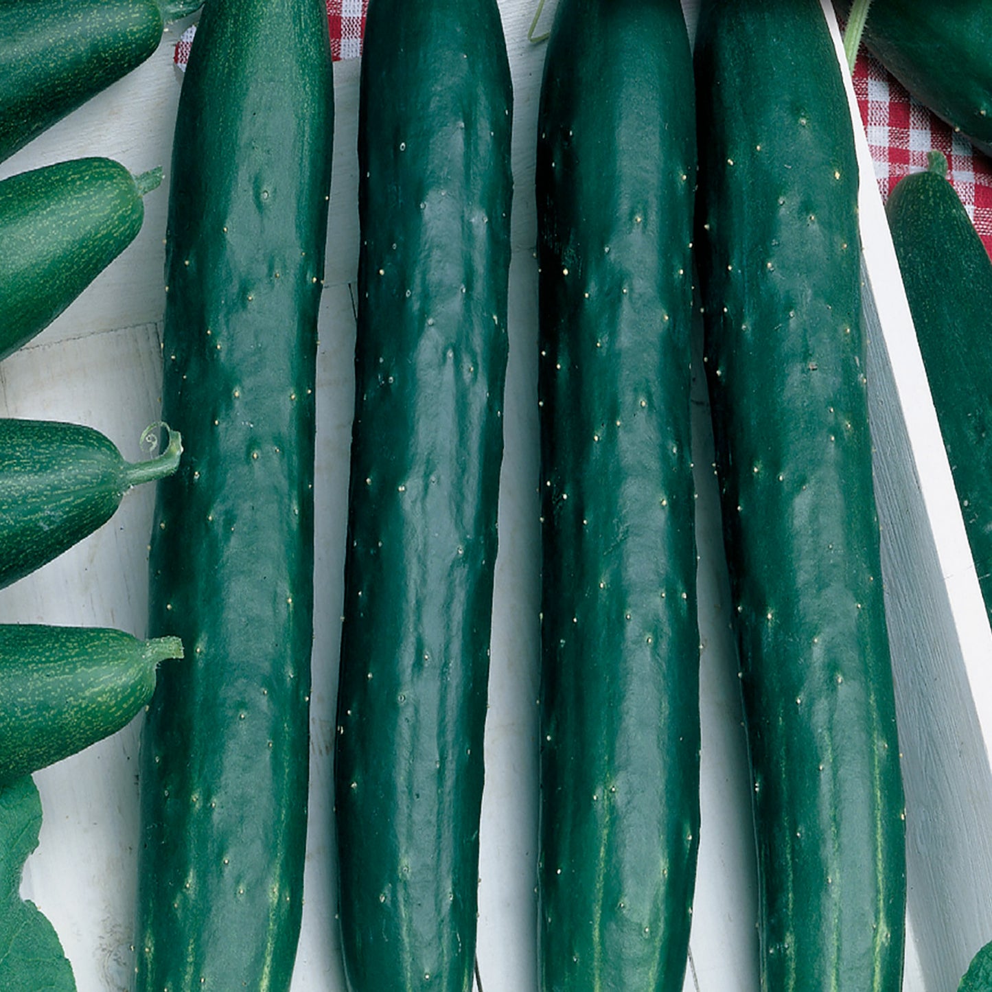 A group of fresh green cucumbers displayed, with visible shallow ridges and small white spines.
