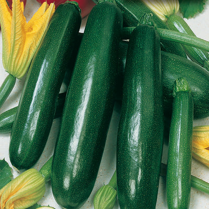 A group of fresh green zucchini with yellow flowers in the background.