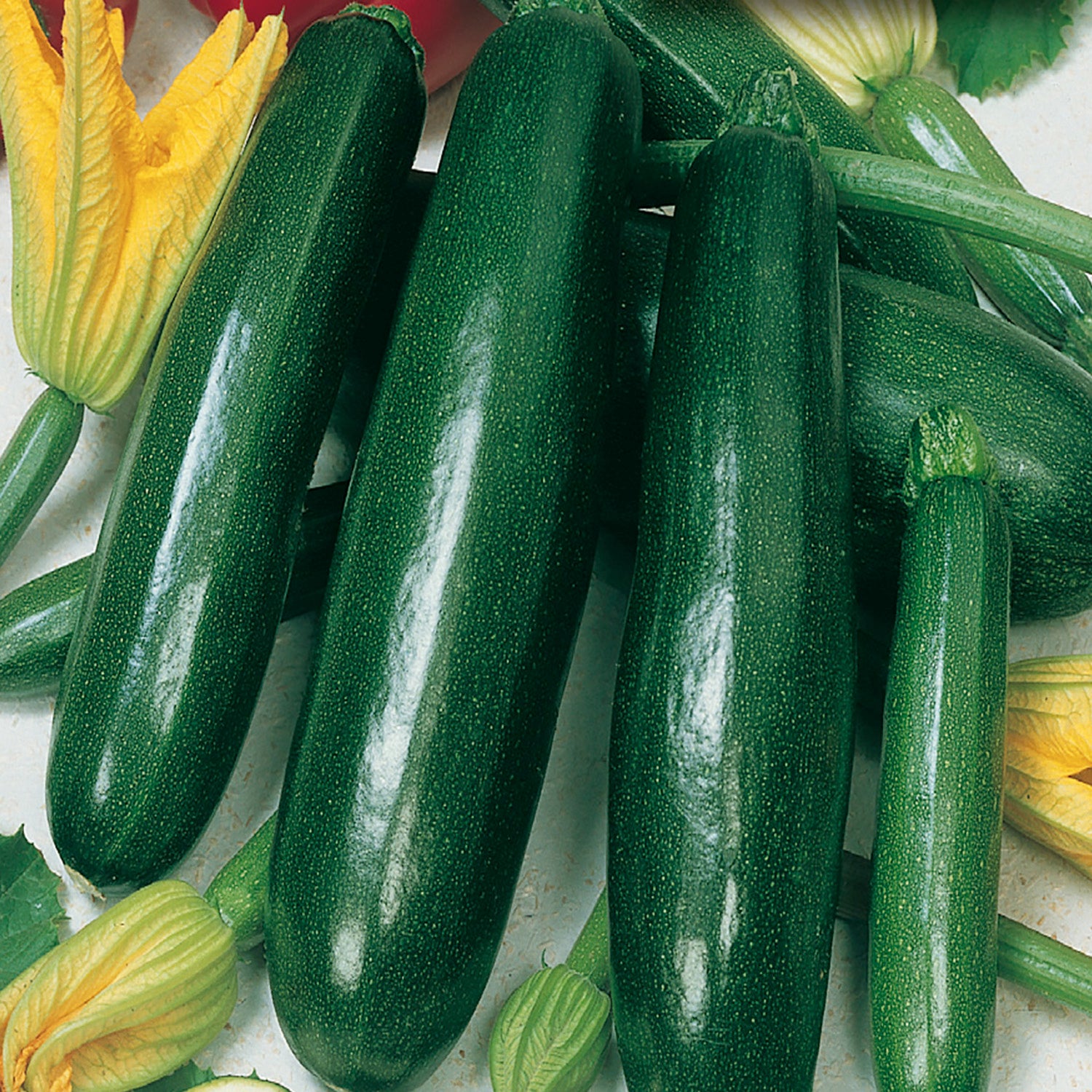 Buy Zucchini Elite Hybrid Seeds Online | McKenzie Seeds