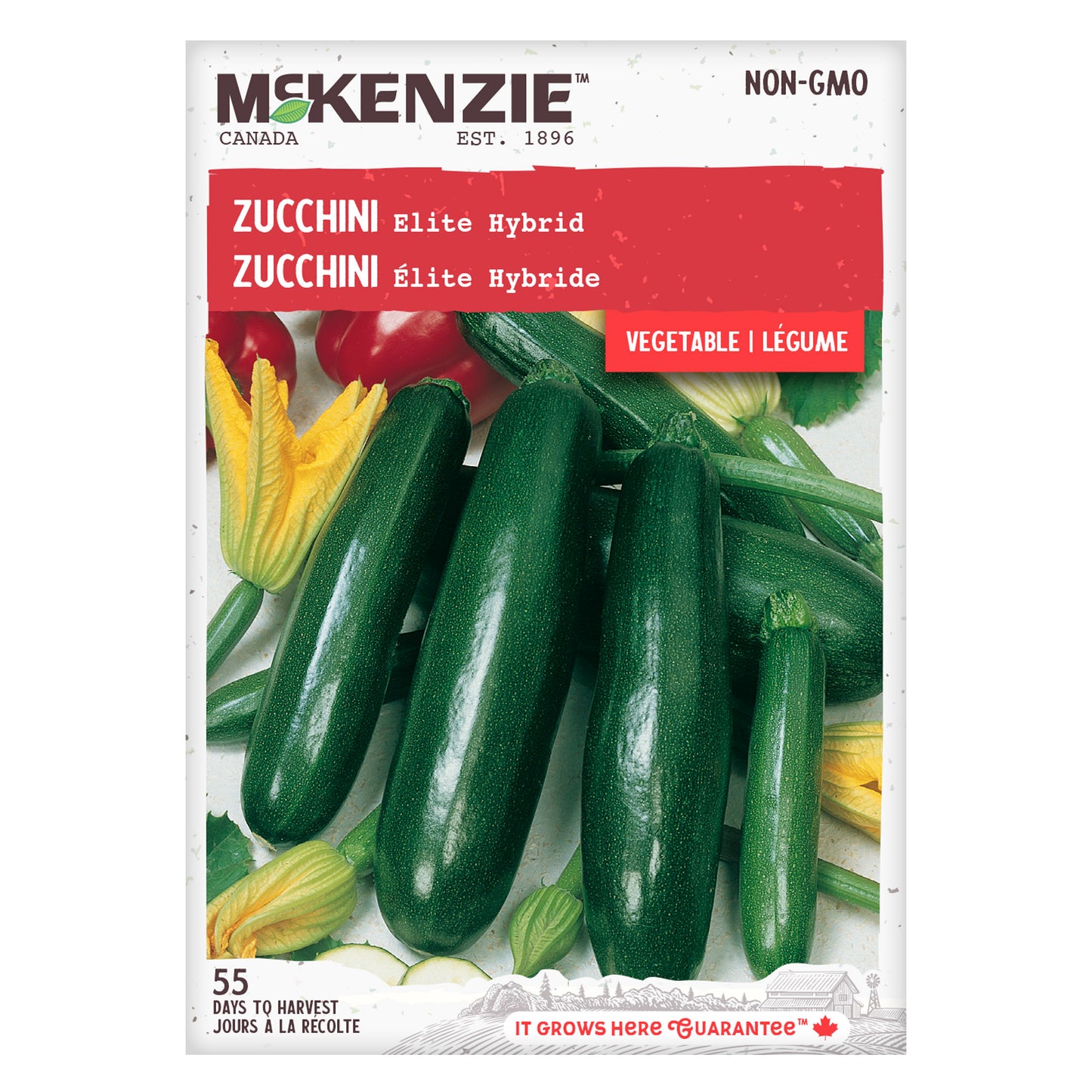 Zucchini Seeds, Elite Hybrid