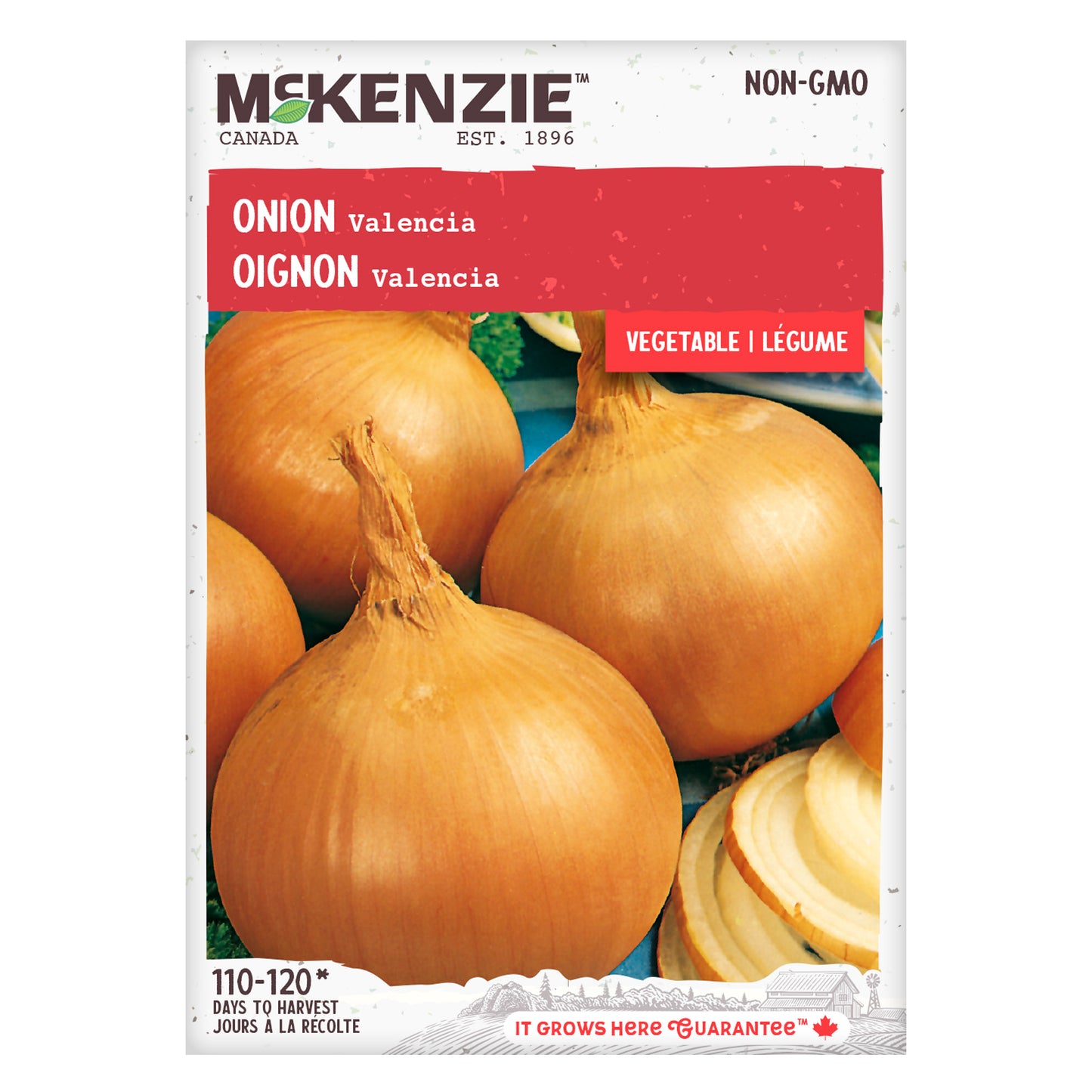 Onion, Valencia Seeds