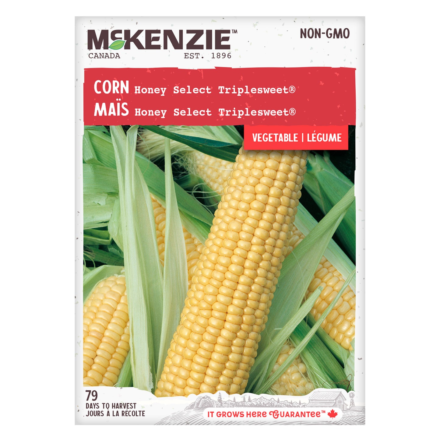 Corn, Honey Select Triplesweet© Seeds