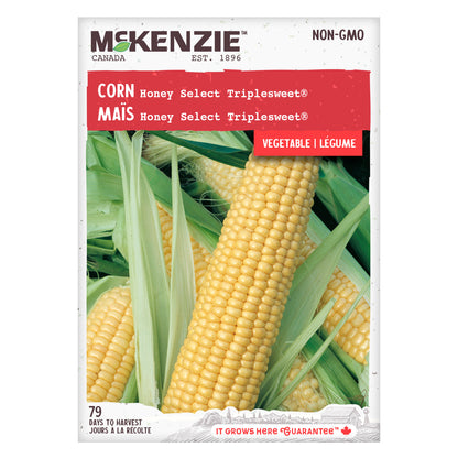 Corn, Honey Select Triplesweet© Seeds