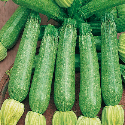 A collection of fresh zucchini with light green fruit with white freckles, arranged on a surface.