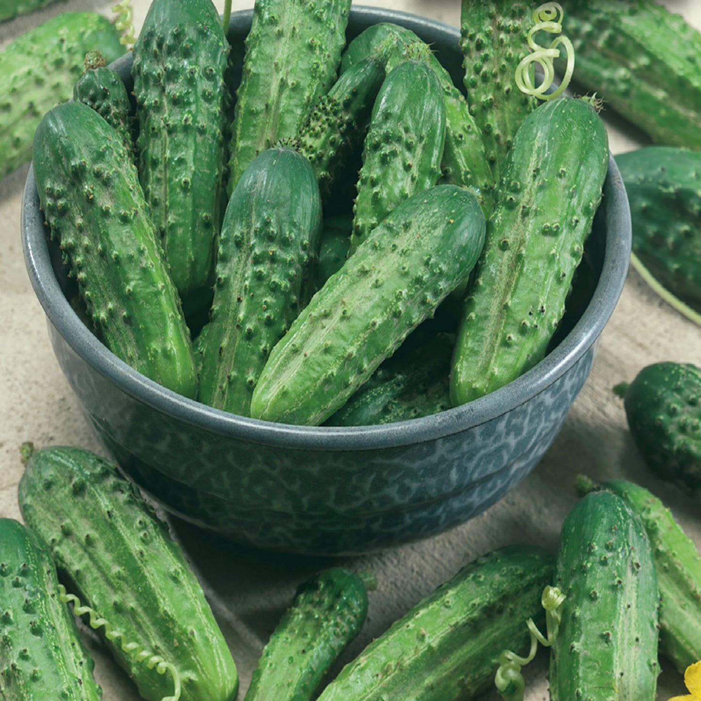 A bowl filled with fresh green cucumbers, which are ideal for making homemade pickles.