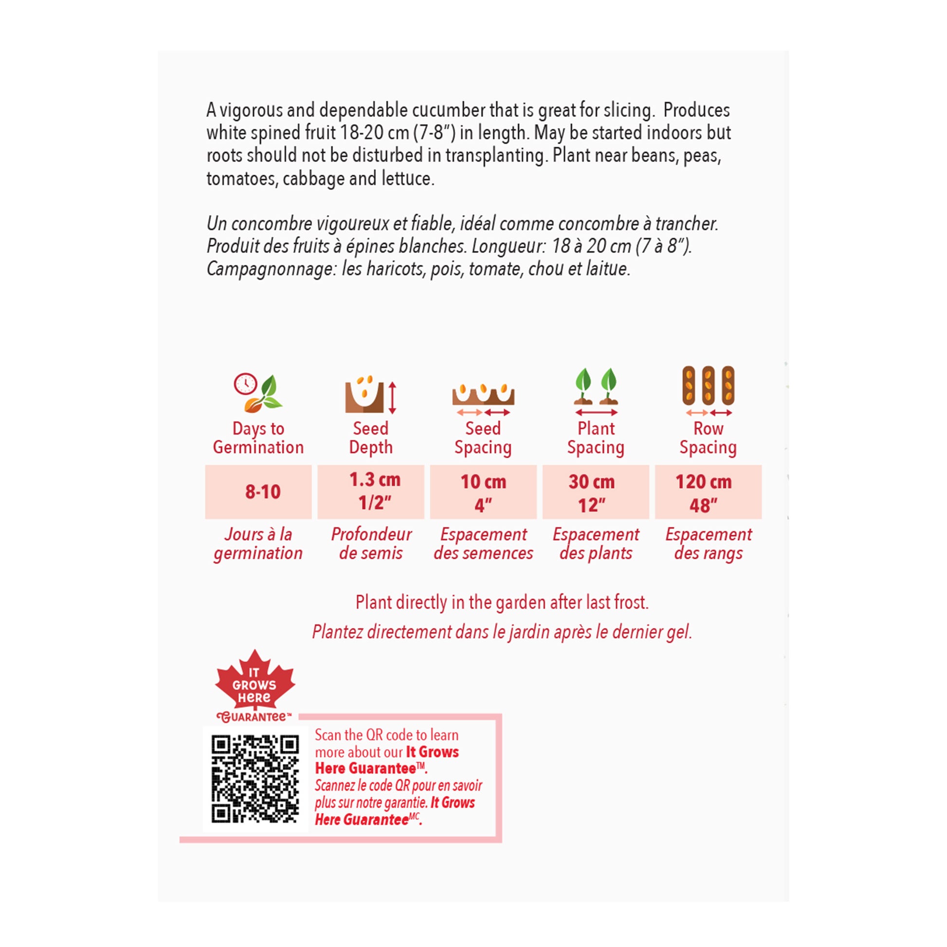 cucumber seed planting instructions Buy Improved Long Green Cucumber Seed Online