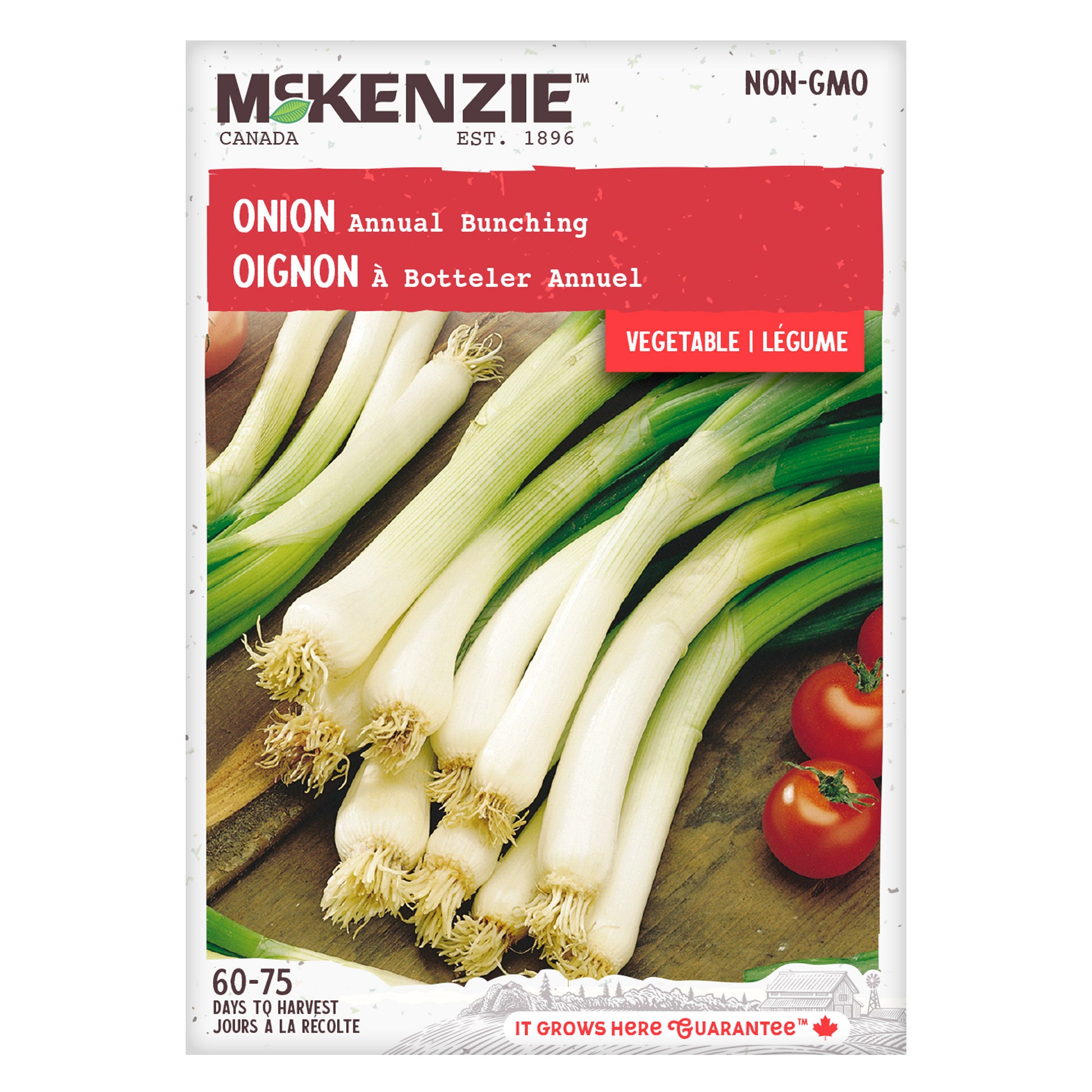 Onion, Annual Bunching Seeds