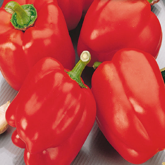 A group of red bell peppers with green stems, fully ripe and displayed prominently.